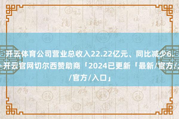 开云体育公司营业总收入22.22亿元、同比减少6.87%-开云官网切尔西赞助商「2024已更新「最新/官方/入口」